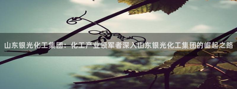 球盟会黑台子