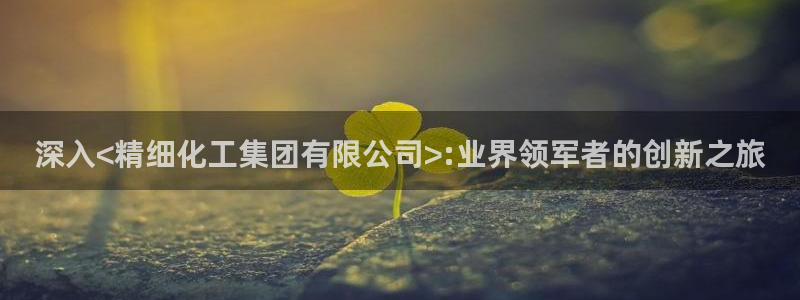 球盟会最新