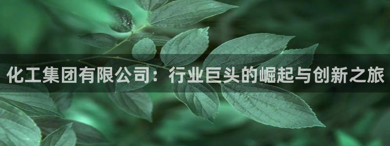 球盟会最新网