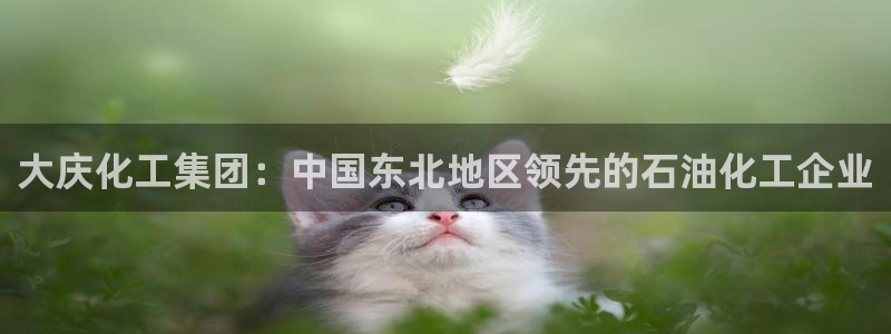 球盟会app网址多少号：大庆化工集团：中国东北地区领先的石油