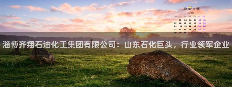 球盟会最新网：淄博齐翔石油化工集团有限公司：山东石化巨头，行