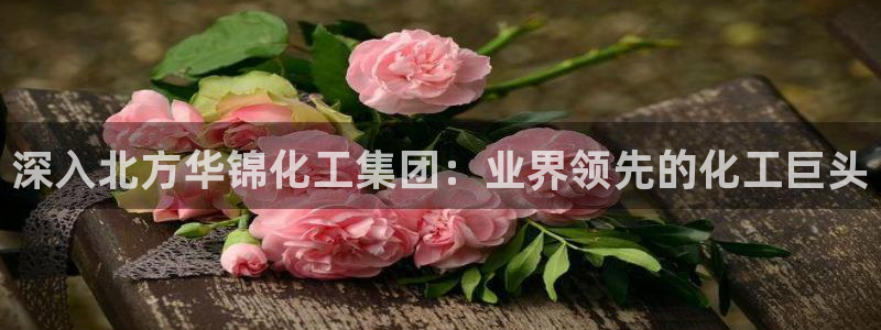 球盟会几点玩合适
