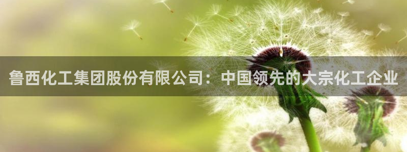 球盟会可以提现么现在：鲁西化工集团股份有限公司：中国领先的大
