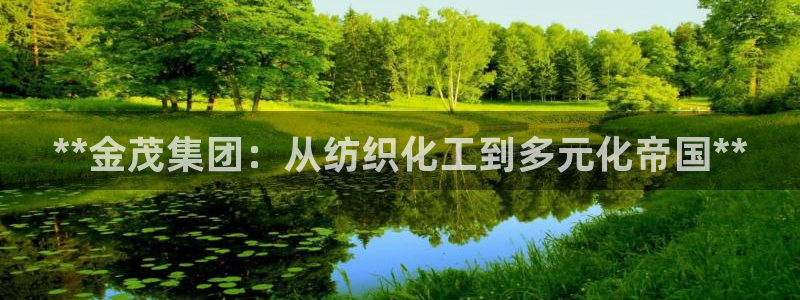 球盟会黑台