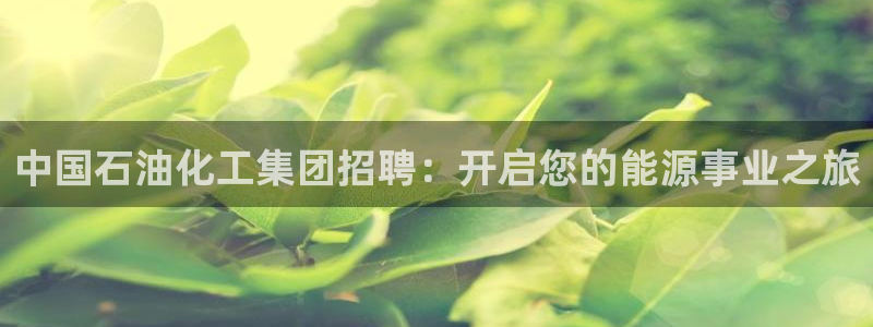球盟会app最新地址在哪里：中国石油化工集团招聘：开启您的能