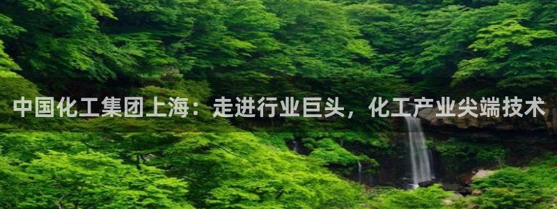 球盟会登陆中心