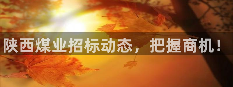球盟会平台会黑单吗