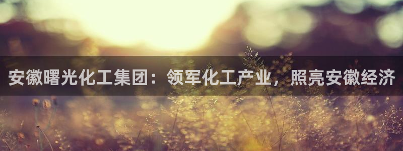 球盟会官方网站