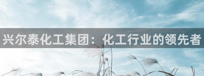 球盟会里面有打牌的嘛