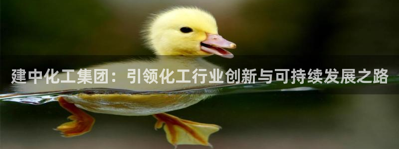 球盟会黑嘛