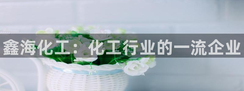 球盟会有没有黑单的人：鑫海化工：化工行业的一流企业