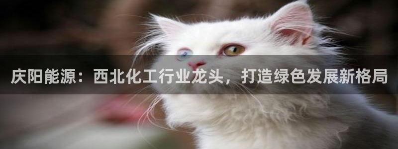 球盟会吧