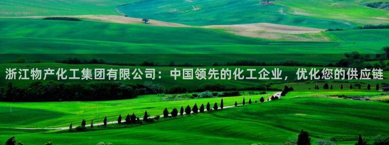 千亿球盟会：浙江物产化工集团有限公司：中国领先的化工企业，优
