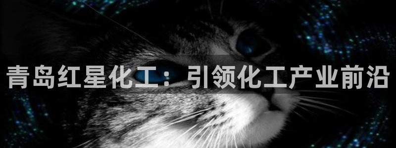 球盟会app网址多少