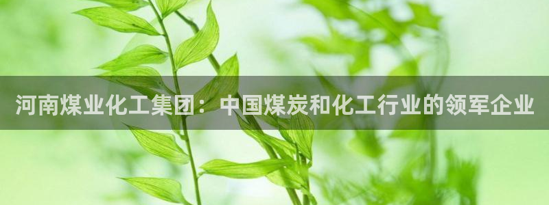 球盟会黑款吗知乎小说：河南煤业化工集团：中国煤炭和化工行业的