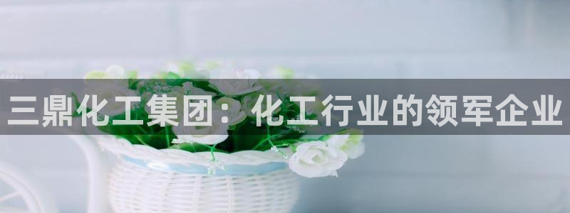球盟会有没有黑单的球员