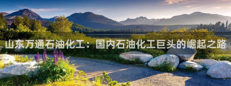 球盟会和中欧