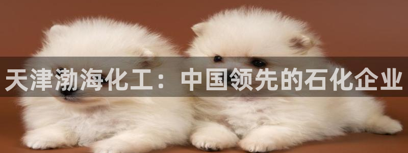 球盟会体验金：天津渤海化工：中国领先的石化企业
