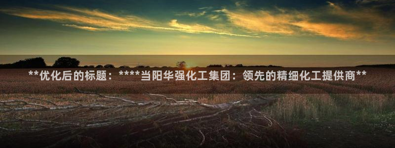 球盟会和中欧：**优化后的标题：****当阳华强化工集团：领