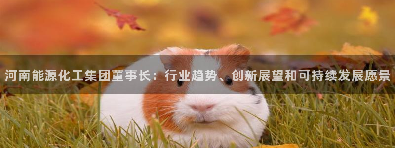 千亿球盟会：河南能源化工集团董事长：行业趋势、创新展望和可持