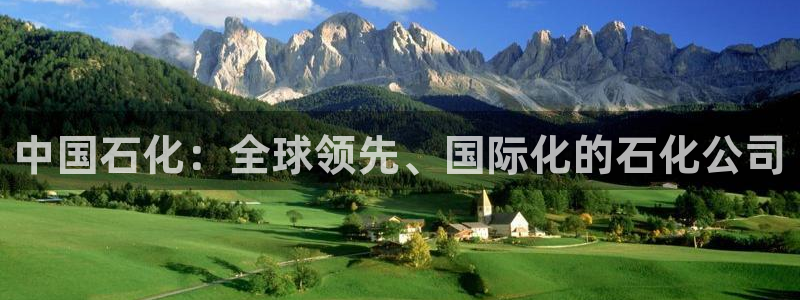 球盟会电子游戏平台：中国石化：全球领先、国际化的石化公司