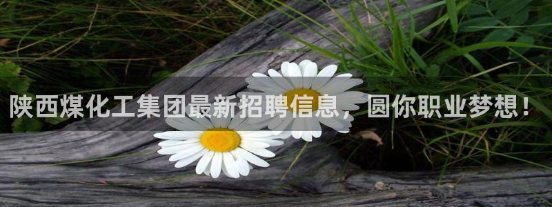 球盟会游戏几点玩合适