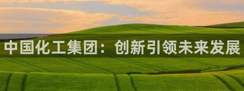 球盟会电子：中国化工集团：创新引领未来发展