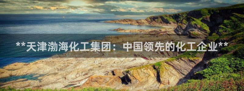 球盟会网页版登陆：**天津渤海化工集团：中国领先的化工企业*