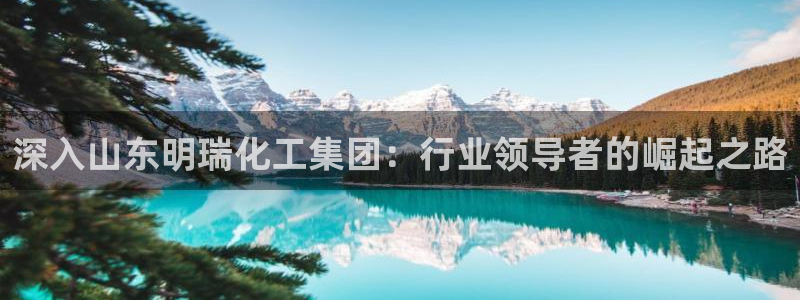 球盟会能提现吗是真的吗