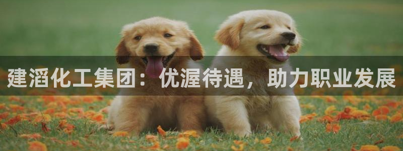 球盟会在线登录：建滔化工集团：优渥待遇，助力职业发展
