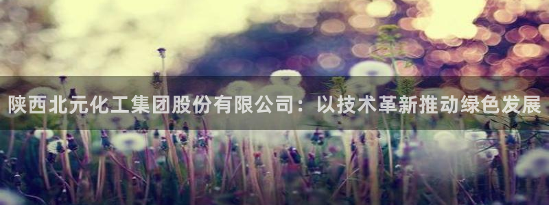 球盟会黑款吗知乎小说：陕西北元化工集团股份有限公司：以技术革