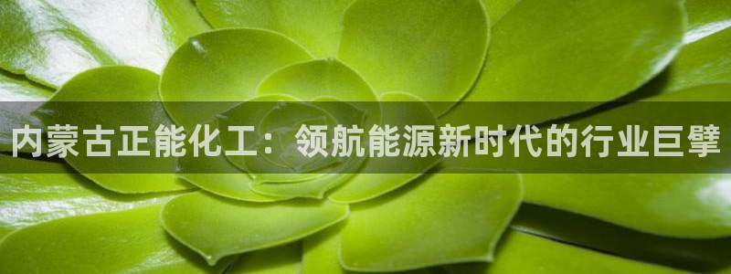 球盟会贴吧