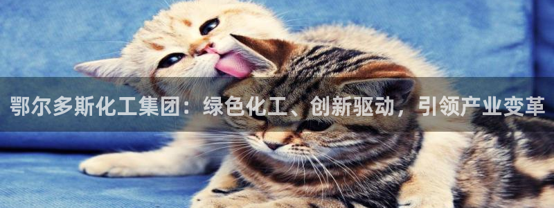 球盟会平台怎么样：鄂尔多斯化工集团：绿色化工、创新驱动，引领