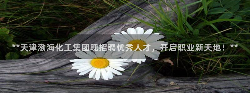 球盟会能退钱吗知乎：**天津渤海化工集团现招聘优秀人才，开启
