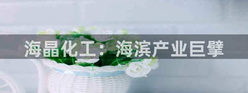 球盟会qm8597：海晶化工：海滨产业巨擘