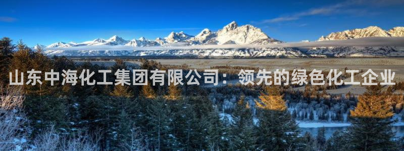 球盟会优惠领取网站是真的吗：山东中海化工集团有限公司：领先的