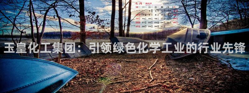球盟会qm：玉皇化工集团：引领绿色化学工业的行业先锋