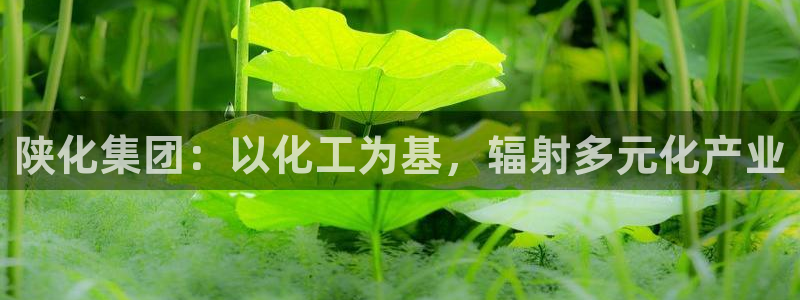 球盟会官方网站
