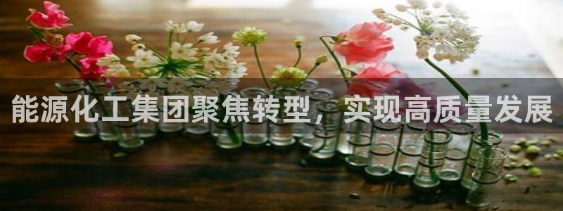 球盟会和中欧合作吗：能源化工集团聚焦转型，实现高质量发展