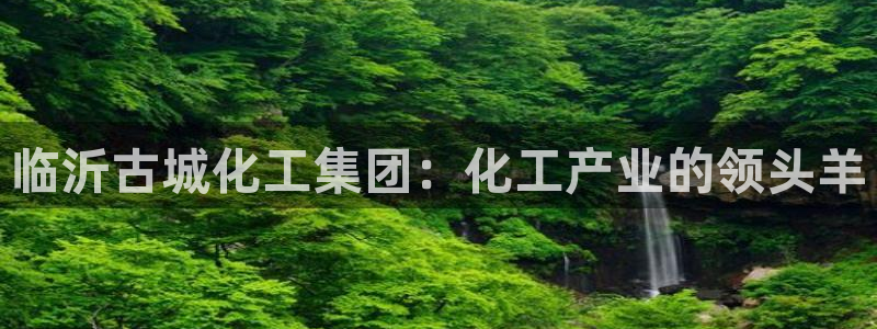 球盟会有没有黑单的活动