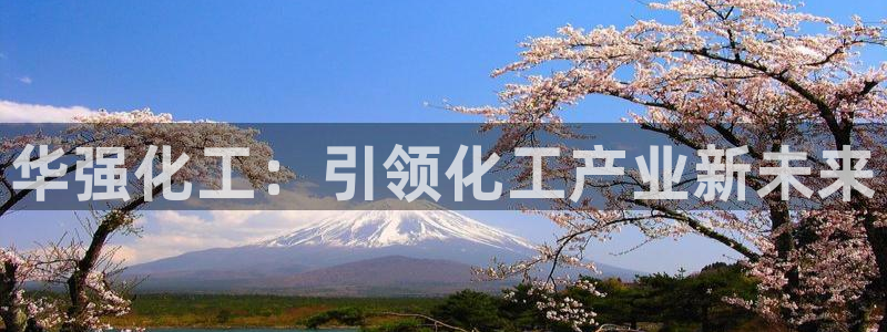 球盟会最新活动：华强化工：引领化工产业新未来