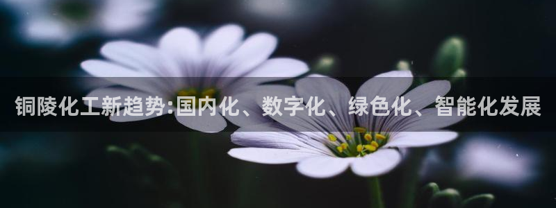 球盟会app最新地址在哪里：铜陵化工新趋势:国内化、数字化、