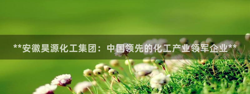 球盟会黑台子吗：**安徽昊源化工集团：中国领先的化工产业领军