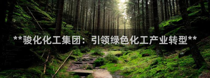 球盟会qm8597：**骏化化工集团：引领绿色化工产业转型*