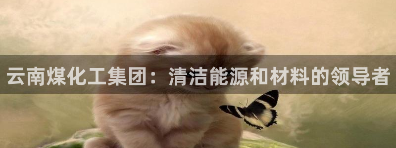 球盟会娱乐平台：云南煤化工集团：清洁能源和材料的领导者