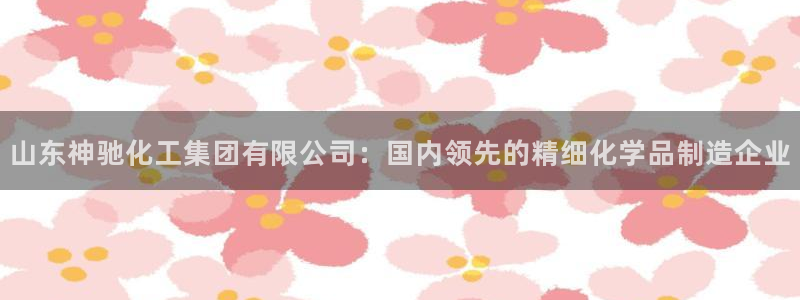 球盟会app最新地址下载：山东神驰化工集团有限公司：国内领先