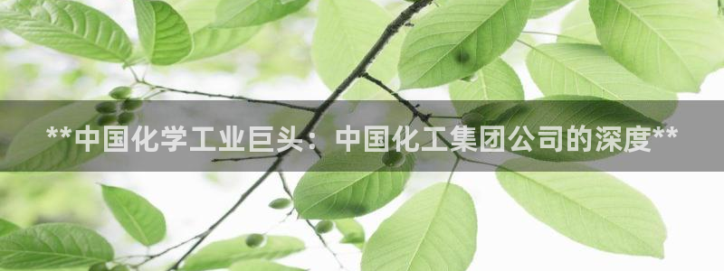 球盟会地址：**中国化学工业巨头：中国化工集团公司的深度**