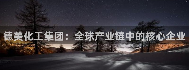 球盟会app：德美化工集团：全球产业链中的核心企业