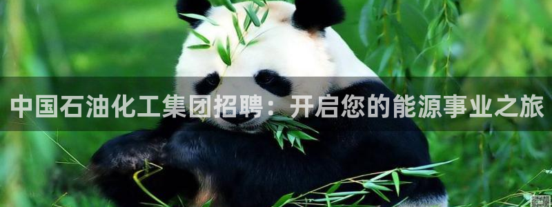 球盟会电子好下吗：中国石油化工集团招聘：开启您的能源事业之旅