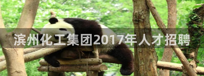 球盟会综合体育平台